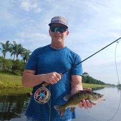 Small Largemouth Bass – fly rod fun!
