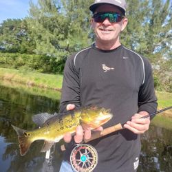 Spotted Peacock Bass – fly rod fun!