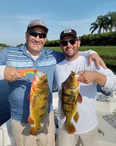 6 Hour Fishing trips
