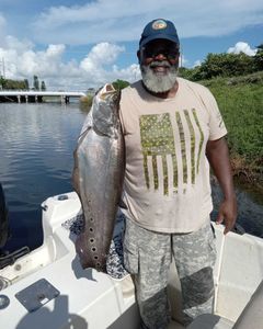 Private Charter Trips Lake Ida