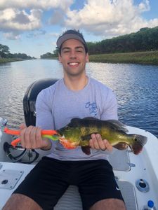 Fisherman with one catch in Delray Beach