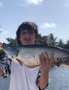 Lone angler fishing in FL