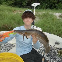 Lone fisherman reeling in catch on the shores of Delray Beach