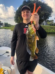 Angler with 18-inch catch at Delray Beach