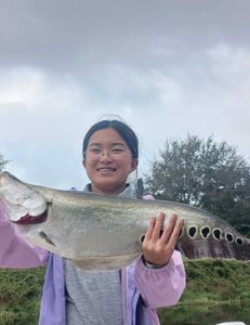 Delray Fishing Charter
