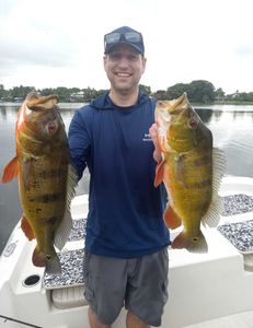 Bass Fishing Adventures