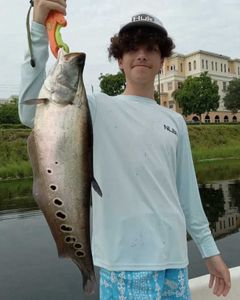 Fisherman with a large 26-inch catch in Delray Beach