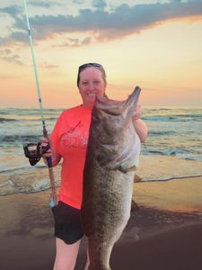 Largemouth Bass caught while fishing in Delray Beach