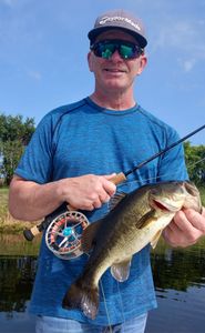 Largemouth Bass caught while fishing in FL