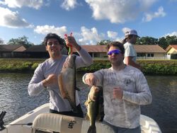 Two large largemouth bass caught while fishing in FL