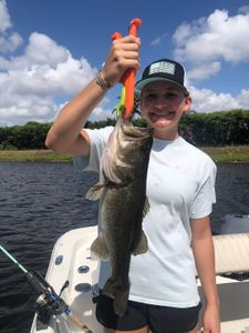 Largemouth Bass caught fishing in FL