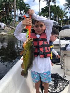 Peacock Bass, 17 inches, caught in Delray Beach