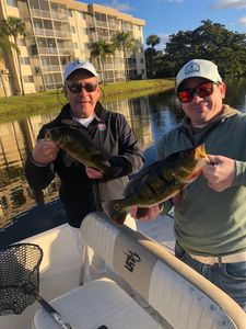 Two peacock bass caught in Delray Beach