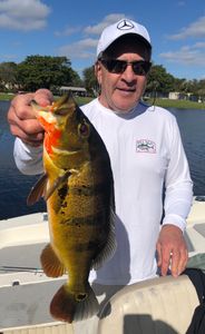 Lone angler reeling in a 24-inch catch in Florida