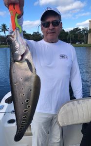 Angler holding a 26-inch fish in FL