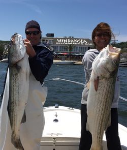 Two striped bass fish caught in Red Bank