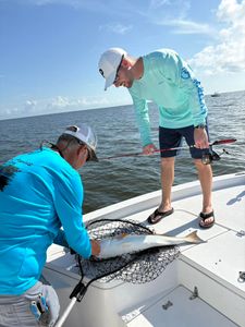Best great fishing in MS