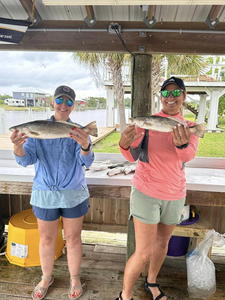 Two spotted weakfish measuring 19 inches, caught while fishing in Bay St. Louis