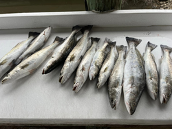 8 impressive fishing haul in MS