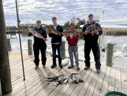 Redfish and Sheepshead caught during fishing in Mississippi