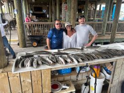 Two spotted weakfish caught fishing in MS