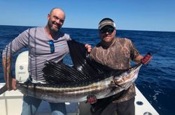 Majestic Atlantic sailfish caught in Fernandina Beach during fishing trip