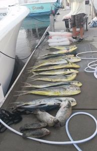 Fishing in FL