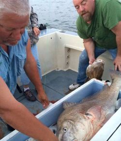 Two people fishing in FL