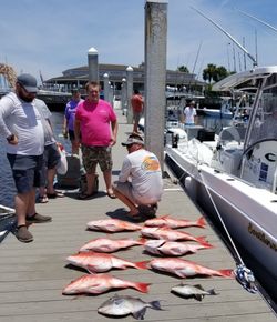 3 big fish caught by 5 people at Fernandina Beach