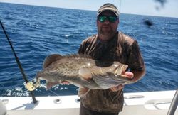 Gag Grouper caught while fishing in FL