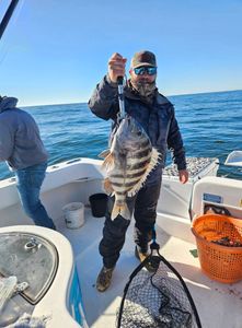 Sheepshead fish caught while fishing in FL