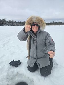 A lone bull trout fish caught in Harmony