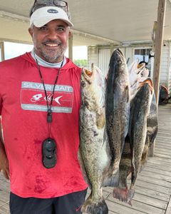 3 fishing in GA