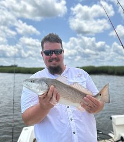 Single redfish caught in Darien