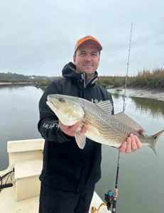 Redfish caught in Georgia