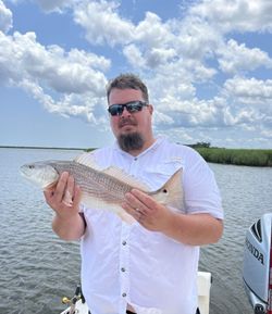 Redfish caught while fishing in Darien