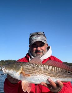 Redfish caught in Darien