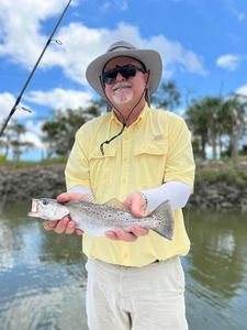 A single spotted weakfish measuring 15 inches, caught while fishing in Darien
