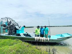 Morning Redfish Fishing In Rockport, Texas