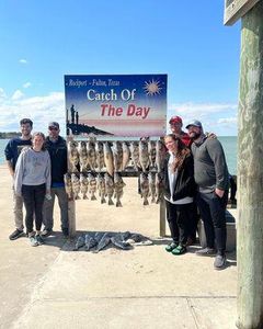 Black Drum From Rockport, Texas