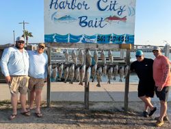 Black drum fishing catch displayed on cleaning station in Rockport TX