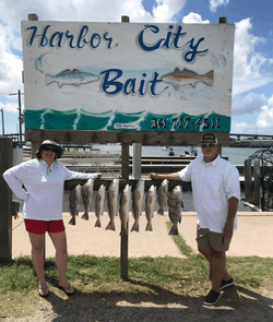4 fish caught while fishing in TX