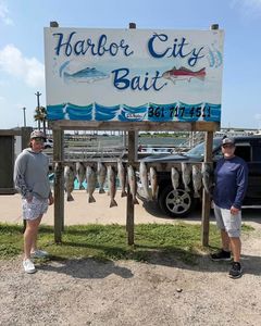 Harbor City Bait shop sign displaying fresh catch of fish in Rockport TX