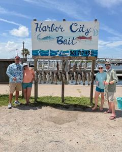 Harbor City Bait shop sign displaying fresh caught fish in Rockport TX