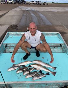 5 black drum fish caught in Rockport