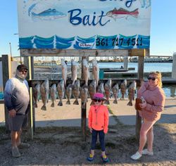 Black drum and redfish catch displayed on wooden fish cleaning station in Rockport TX