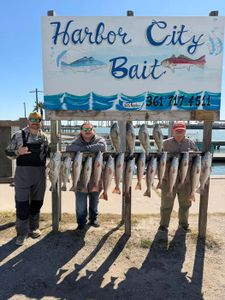 Fishing charter display showing multiple caught fish hanging on rack at Harbor City Bait in Rockport TX