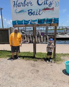Fishing catch display board showing multiple fish hung up at Harbor City Bait in Rockport TX