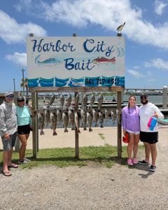 Multiple fish hanging on display rack at Harbor City Bait in Rockport TX with seagull perched on sign