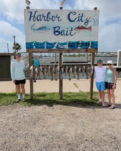 Fresh caught fish hanging on display rack at Harbor City Bait in Rockport TX
